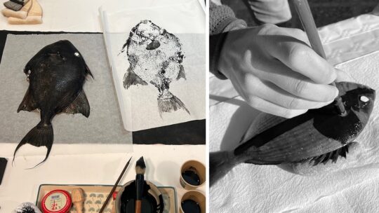 Taller de Gyotaku 18/10/2026 de 11:30 a 13:30