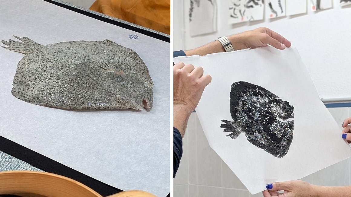 Taller de Gyotaku