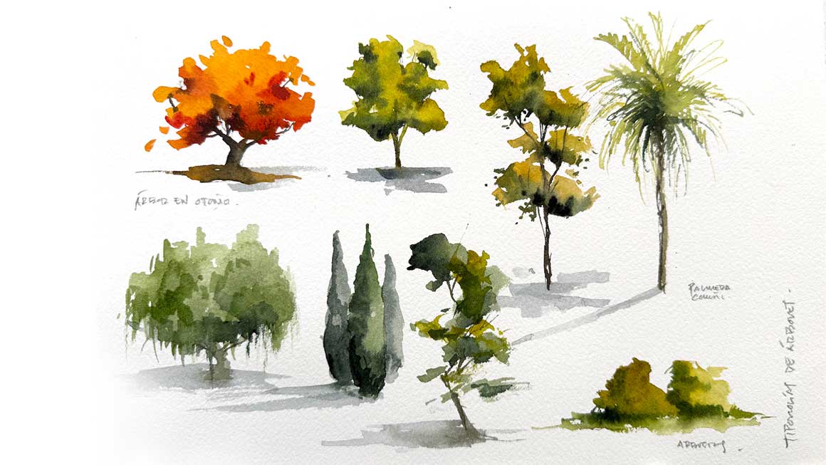 Acuarela botánica (color, hojas y tipologías de árboles) y cuaderno de viaje