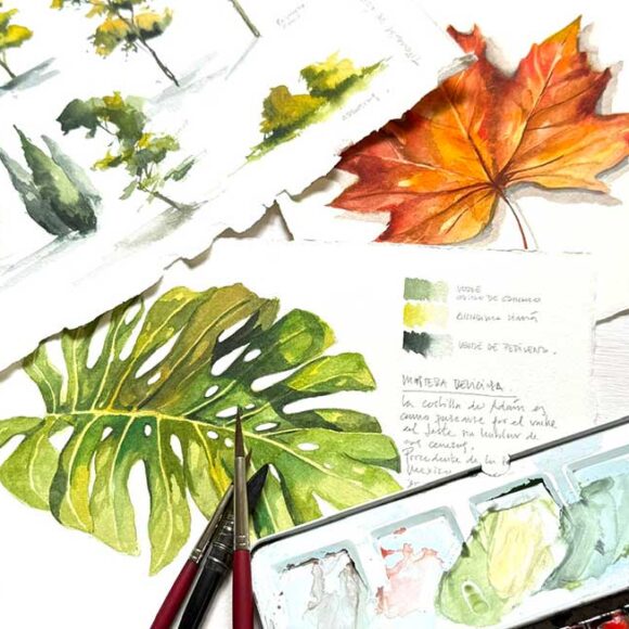 Acuarela botánica (color, hojas y tipologías de árboles) y cuaderno de viaje