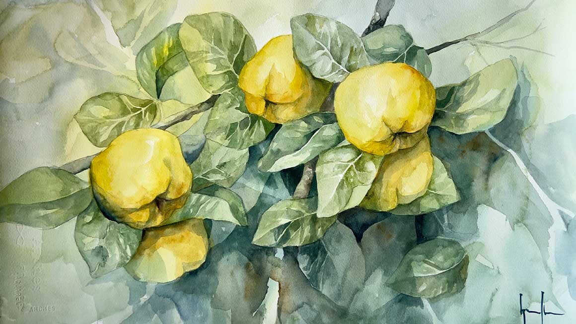 Acuarela botánica (color, hojas y tipologías de árboles) y cuaderno de viaje