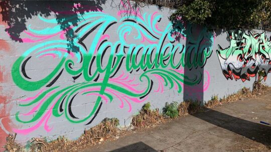 Taller de lettering en pared 08, 09, 10/07/2026 de 18 a 20h