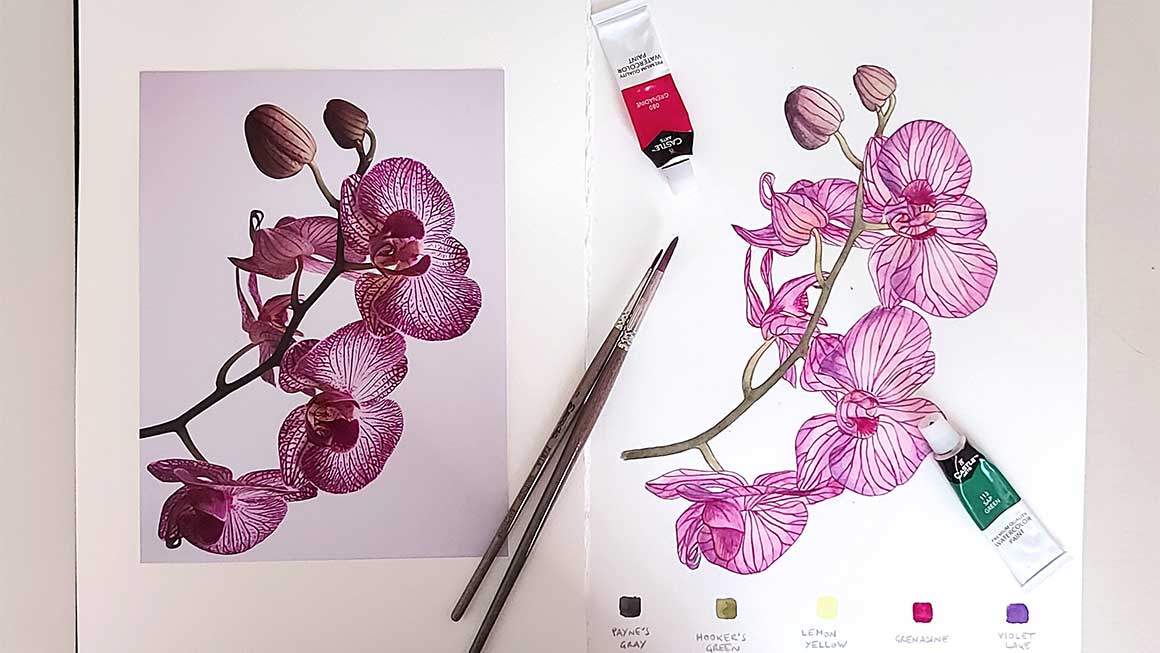 Curso de acuarela botánica: Orquídea