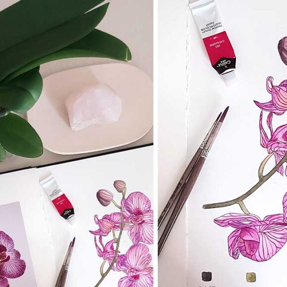 Curso de acuarela botánica: orquídea