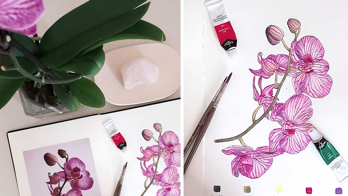 Curso de acuarela botánica: Orquídea