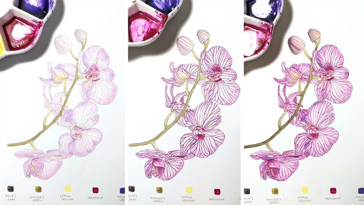 Curso de acuarela botánica: Orquídea